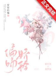 偏爱和例外